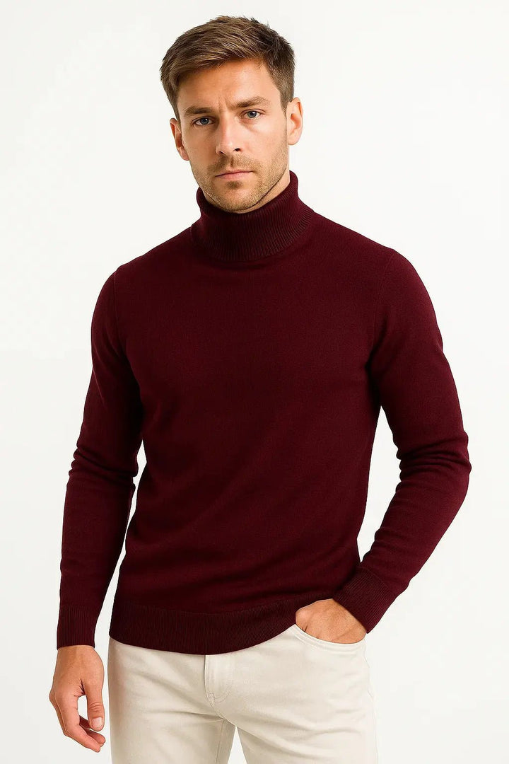 Men's Classic Turtleneck Sweater | Ribbed Wool Pullover Back